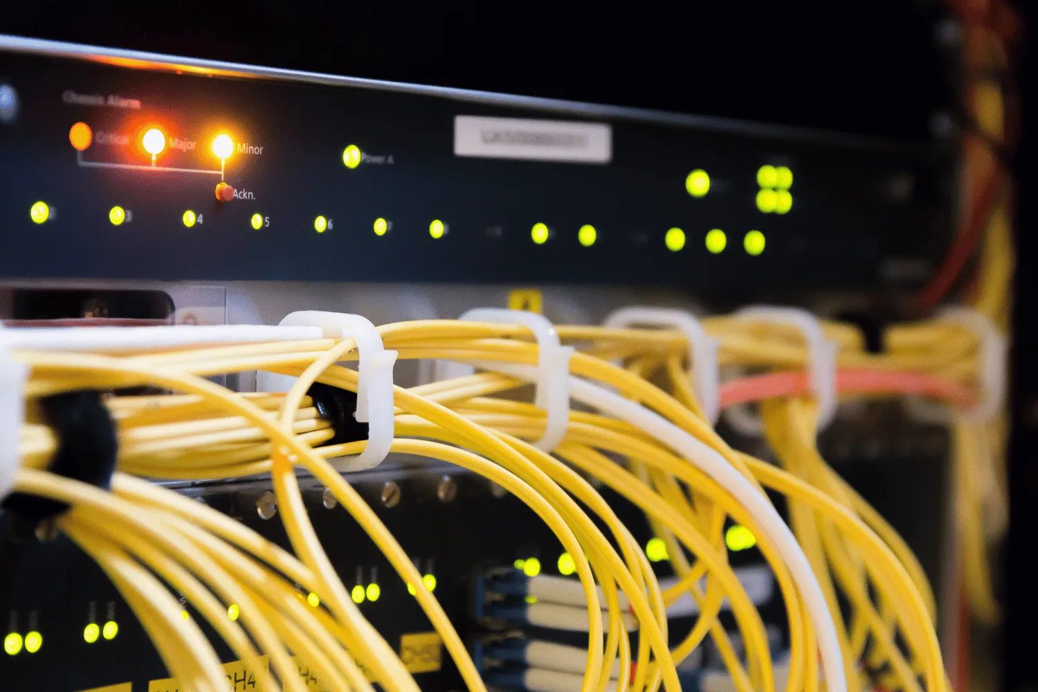 Enterprise networking switches
